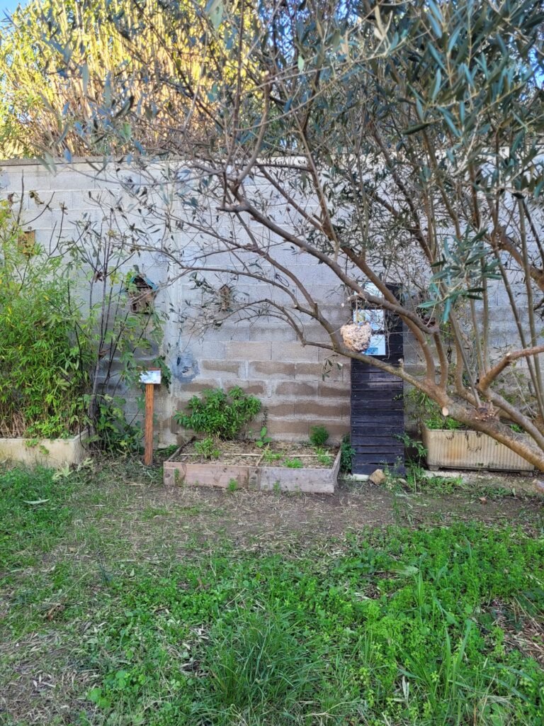 IMG-20250113-WA0004